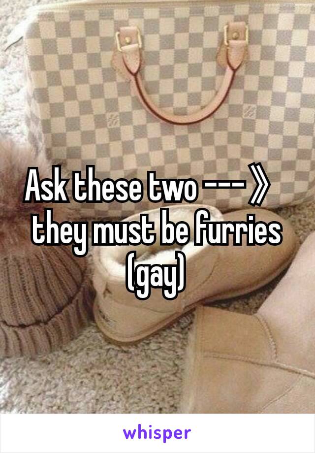 Ask these two ---》 they must be furries  (gay)