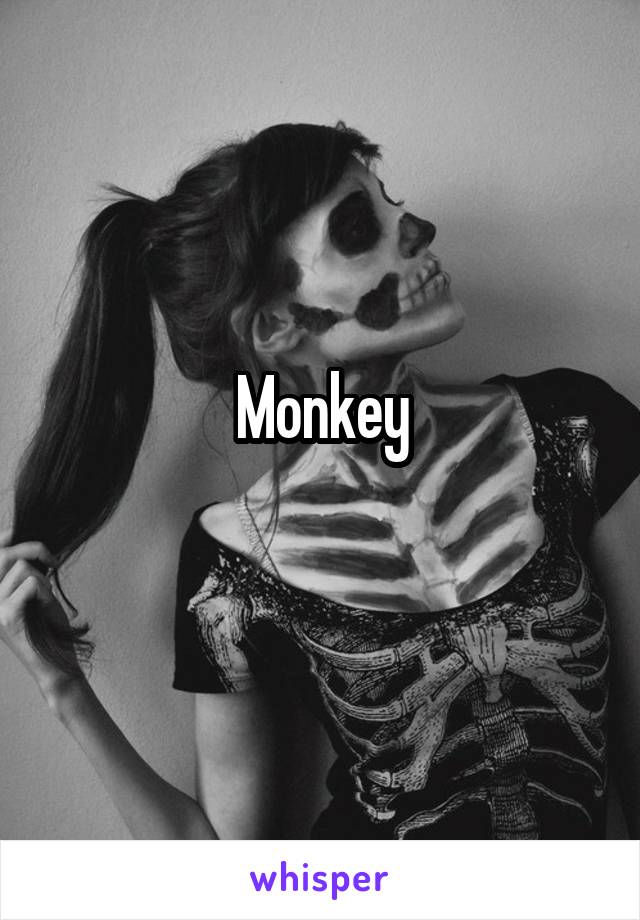 Monkey
