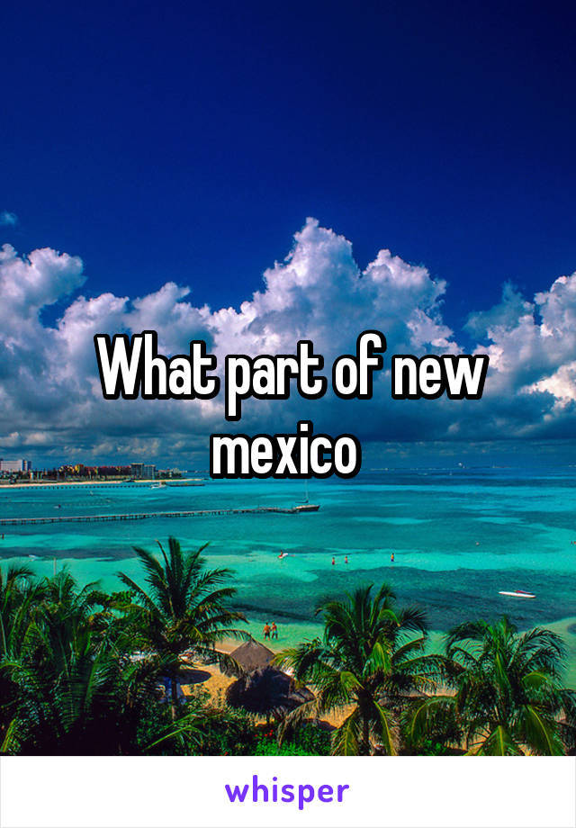 What part of new mexico 