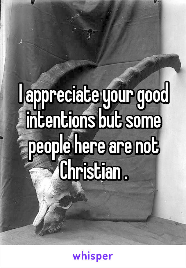 I appreciate your good intentions but some people here are not Christian .