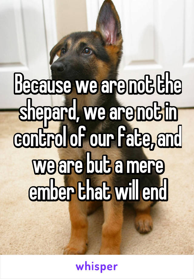 Because we are not the shepard, we are not in control of our fate, and we are but a mere ember that will end