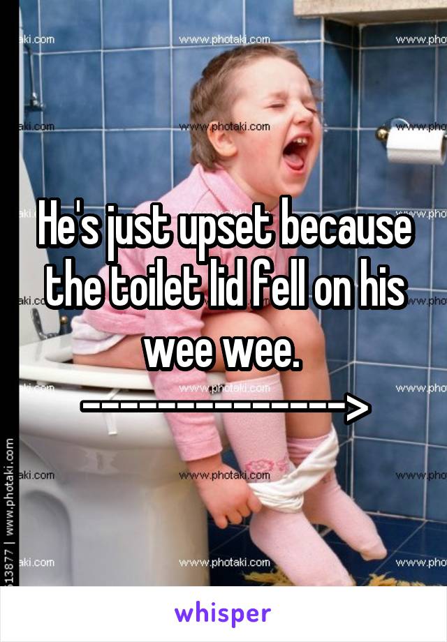 He's just upset because the toilet lid fell on his wee wee. 
-------------->