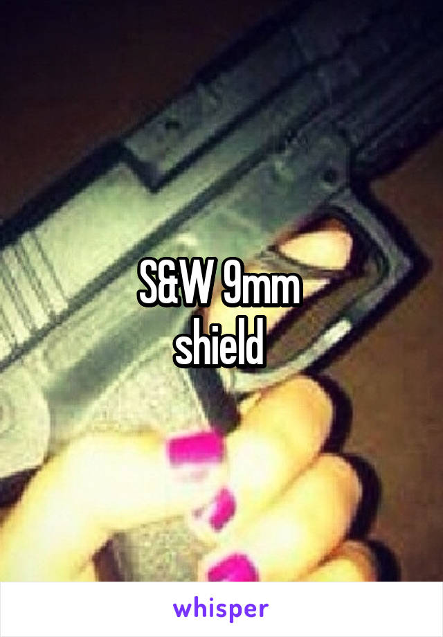 S&W 9mm 
shield 