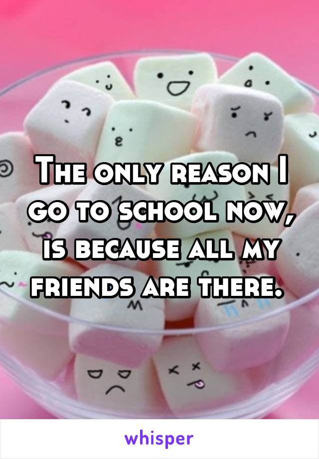 The only reason I go to school now, is because all my friends are there. 