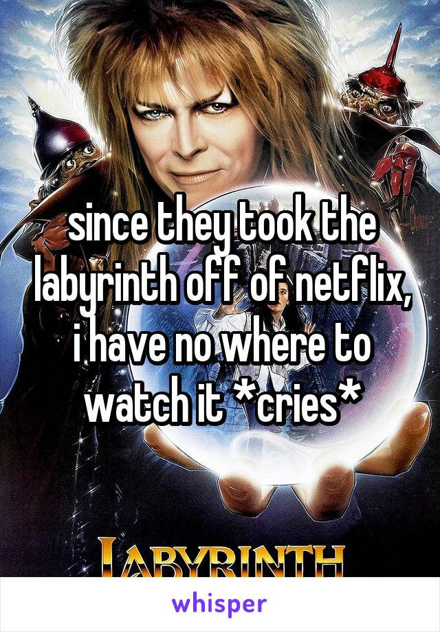 since they took the labyrinth off of netflix, i have no where to watch it *cries*