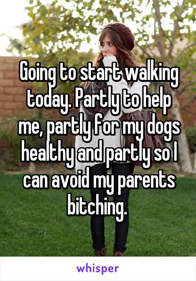 Going to start walking today. Partly to help me, partly for my dogs healthy and partly so I can avoid my parents bitching. 