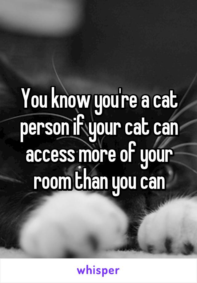 You know you're a cat person if your cat can access more of your room than you can