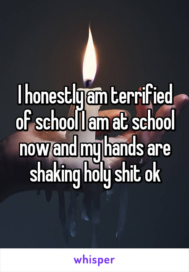 I honestly am terrified of school I am at school now and my hands are shaking holy shit ok