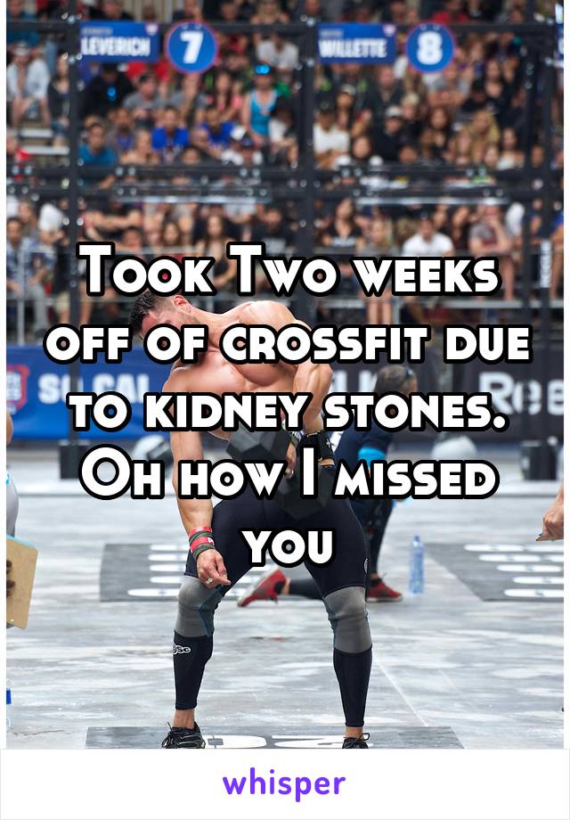 Took Two weeks off of crossfit due to kidney stones. Oh how I missed you