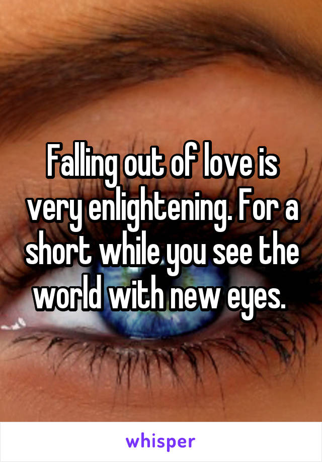 Falling out of love is very enlightening. For a short while you see the world with new eyes. 