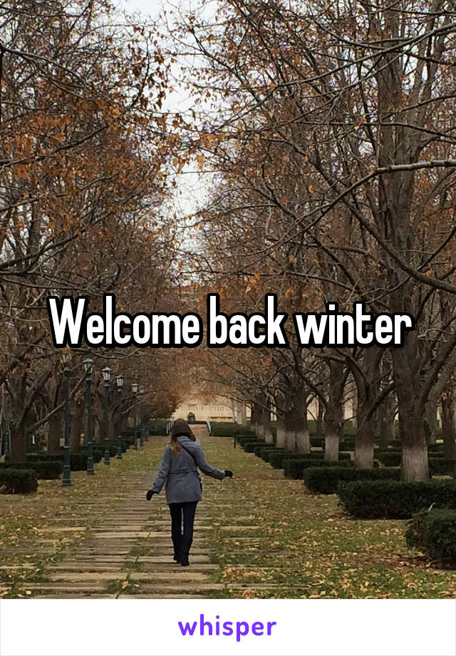 Welcome back winter