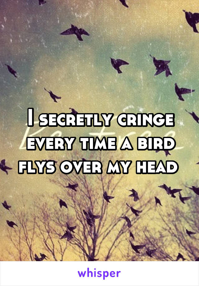 I secretly cringe every time a bird flys over my head 