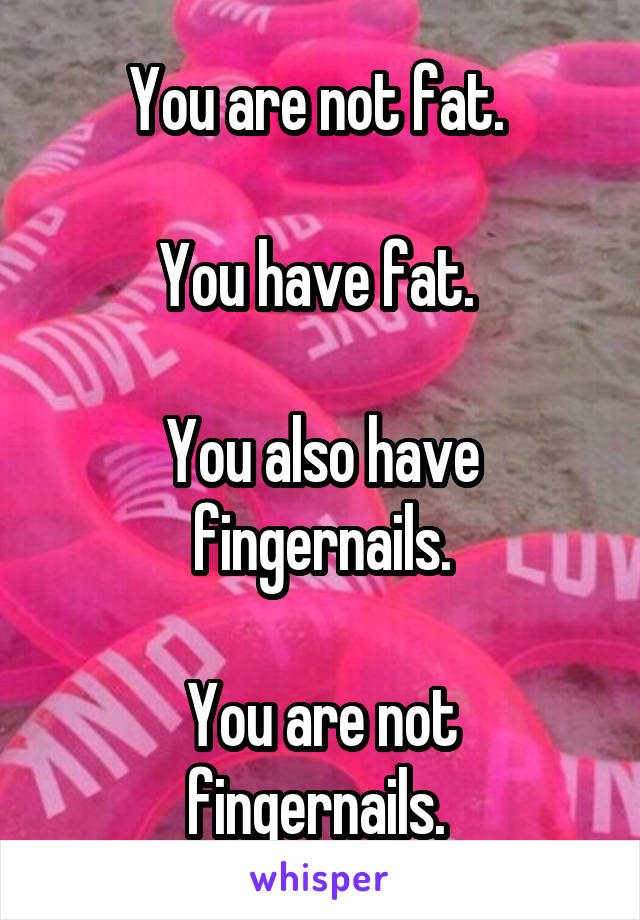 You are not fat. 

You have fat. 

You also have fingernails.
 
You are not fingernails. 