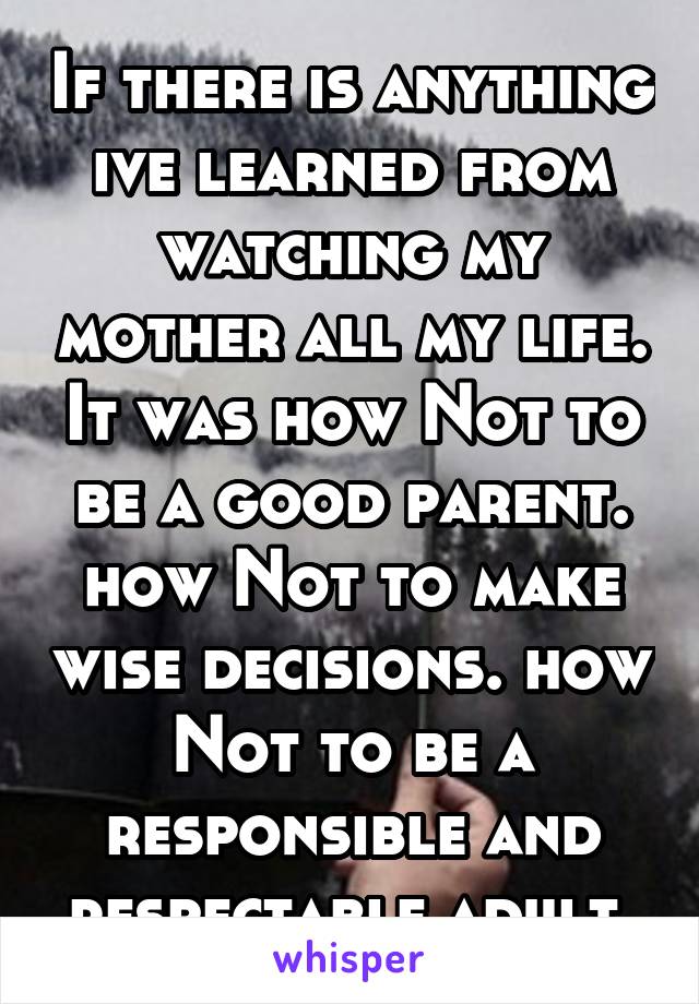 If there is anything ive learned from watching my mother all my life. It was how Not to be a good parent. how Not to make wise decisions. how Not to be a responsible and respectable adult.