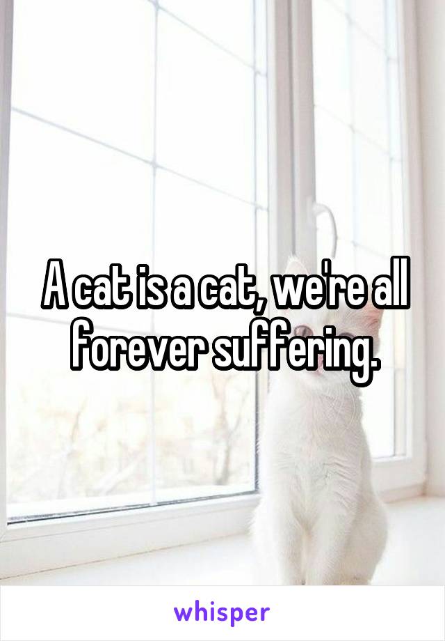 A cat is a cat, we're all forever suffering.