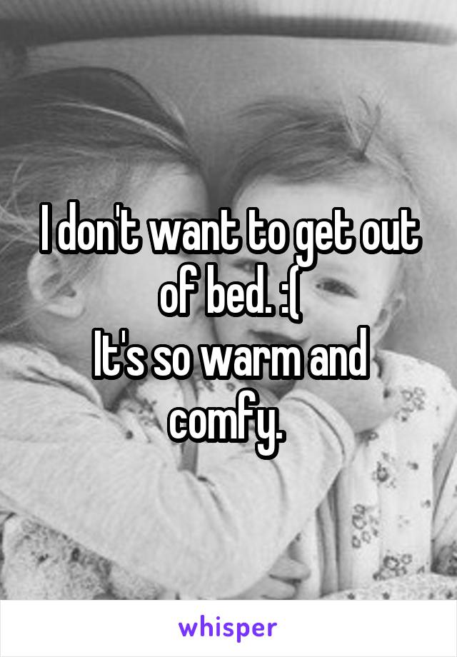 I don't want to get out of bed. :(
It's so warm and comfy. 