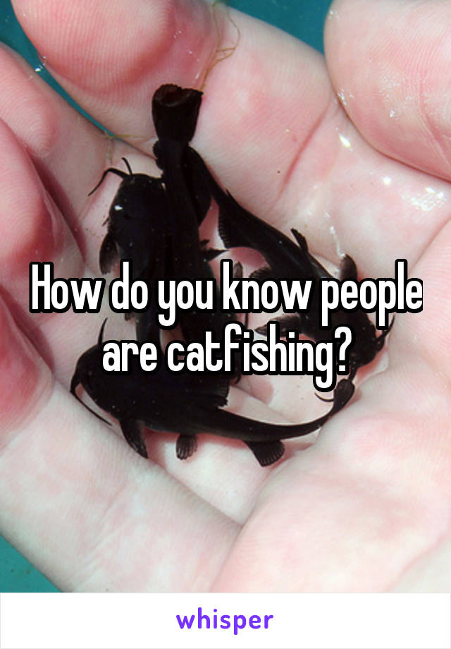 How do you know people are catfishing?