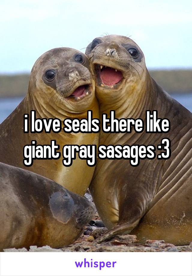 i love seals there like giant gray sasages :3