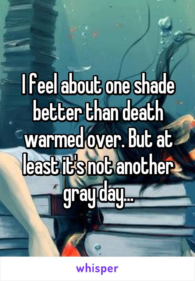 I feel about one shade better than death warmed over. But at least it's not another gray day...