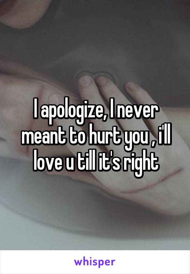 I apologize, I never meant to hurt you , i'll love u till it's right