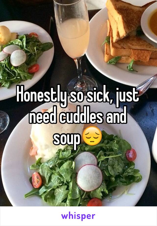 Honestly so sick, just need cuddles and soup😔