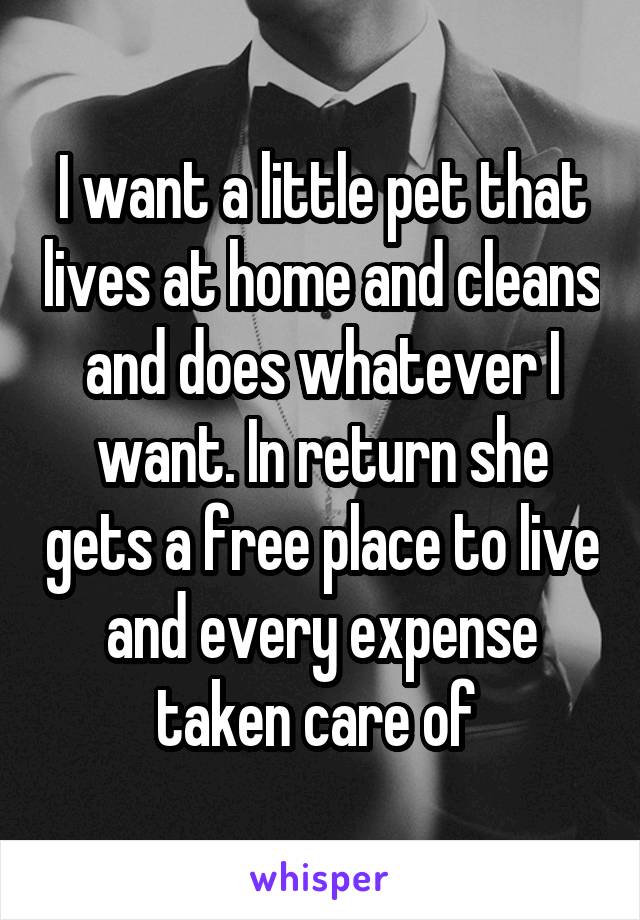 I want a little pet that lives at home and cleans and does whatever I want. In return she gets a free place to live and every expense taken care of 