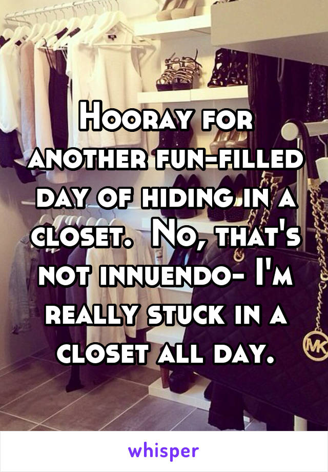 Hooray for another fun-filled day of hiding in a closet.  No, that's not innuendo- I'm really stuck in a closet all day.