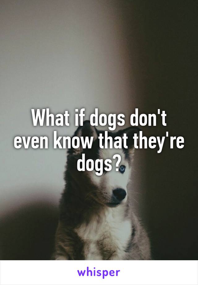 What if dogs don't even know that they're dogs?