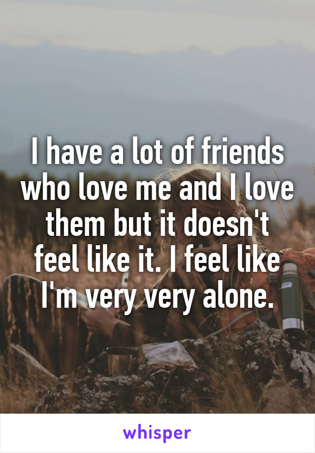 I have a lot of friends who love me and I love them but it doesn't feel like it. I feel like I'm very very alone.