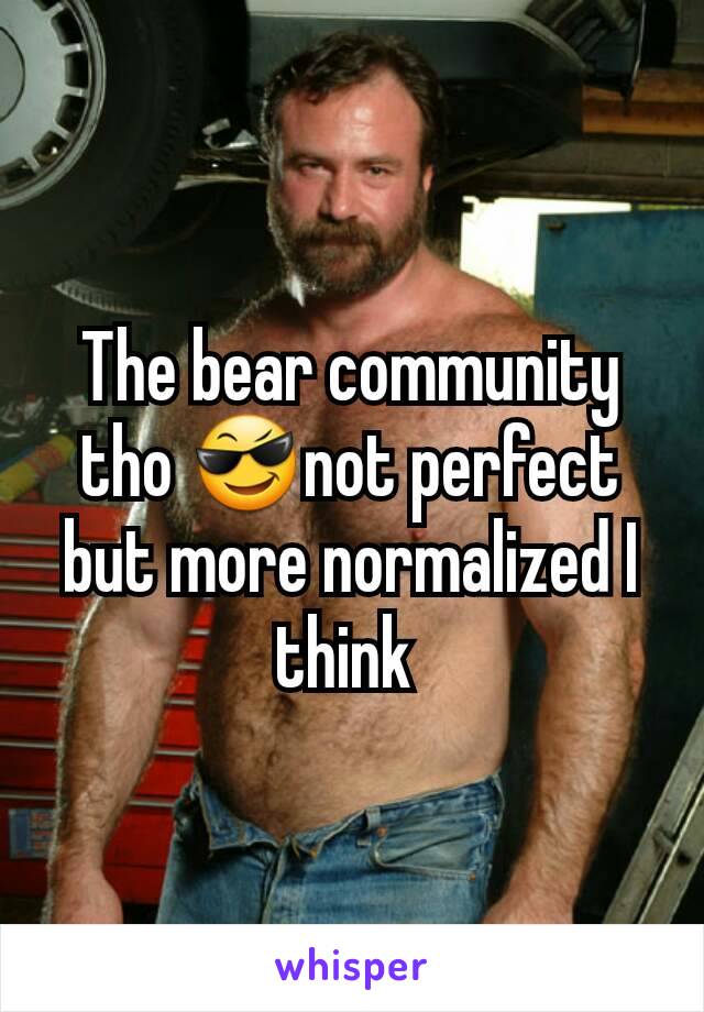 The bear community tho 😎not perfect but more normalized I think 