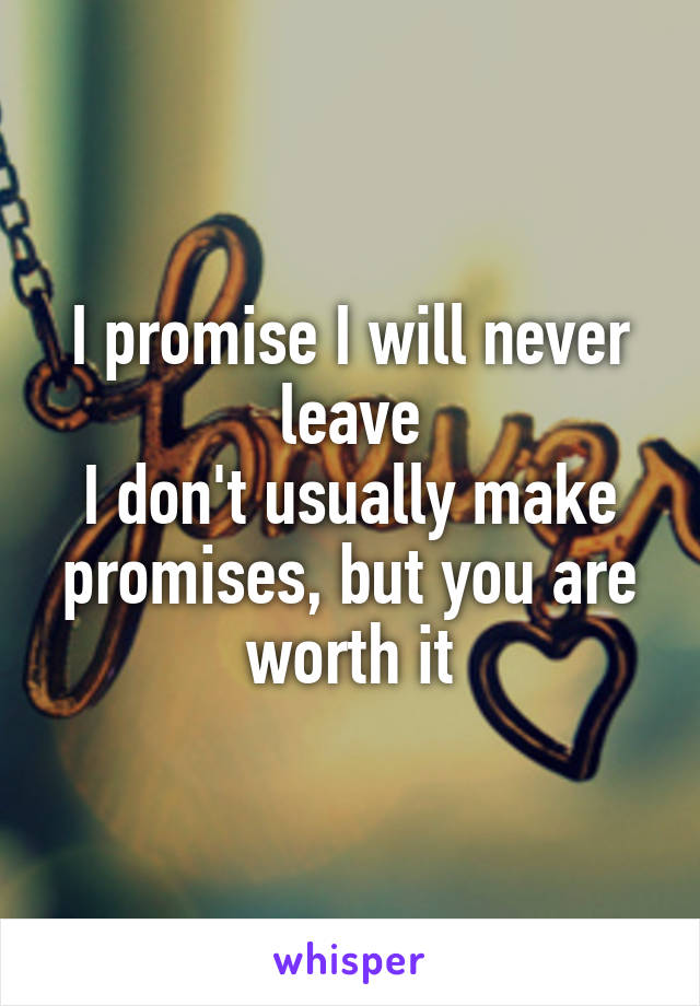 I promise I will never leave
I don't usually make promises, but you are worth it