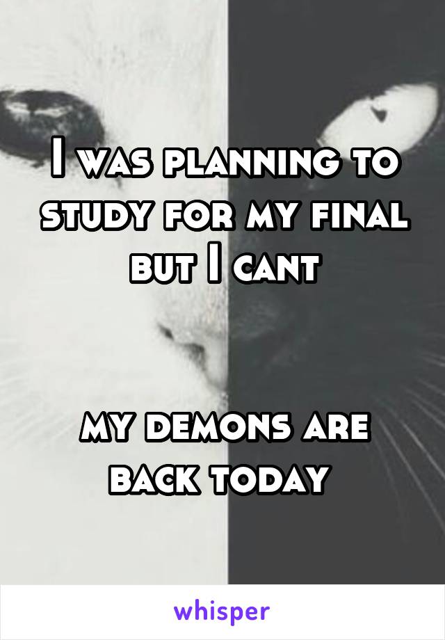 I was planning to study for my final but I cant


my demons are back today 