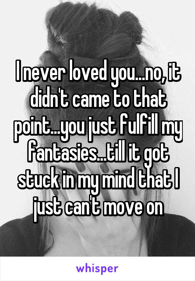 I never loved you...no, it didn't came to that point...you just fulfill my fantasies...till it got stuck in my mind that I just can't move on