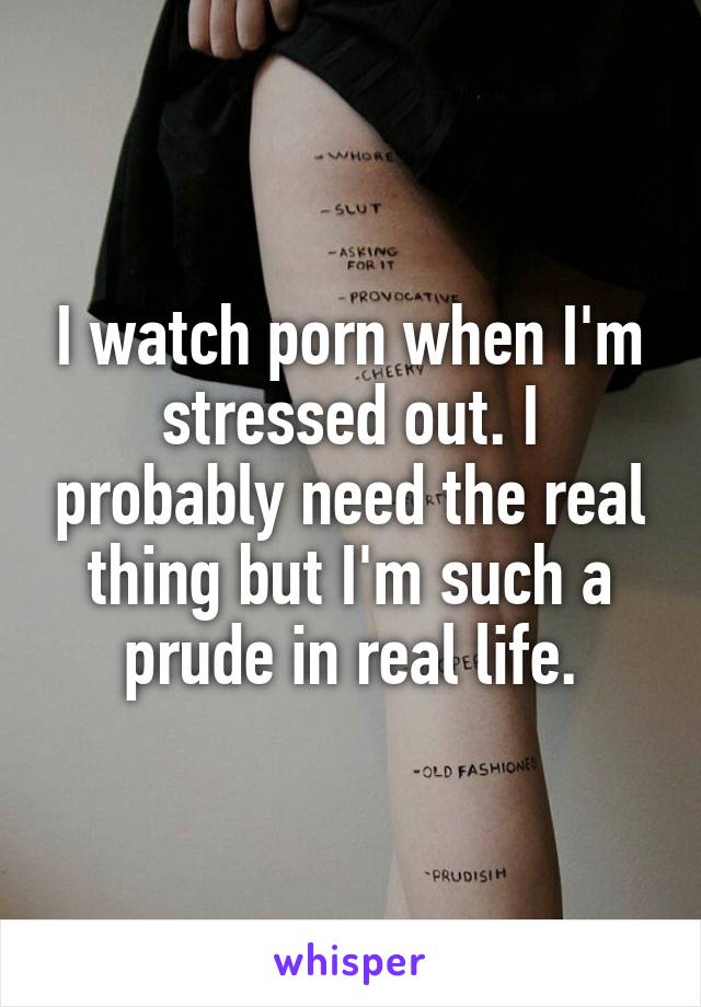 I watch porn when I'm stressed out. I probably need the real thing but I'm such a prude in real life.