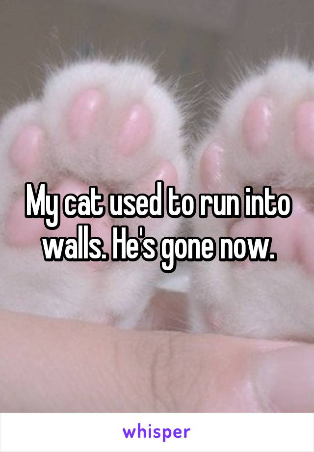 My cat used to run into walls. He's gone now.