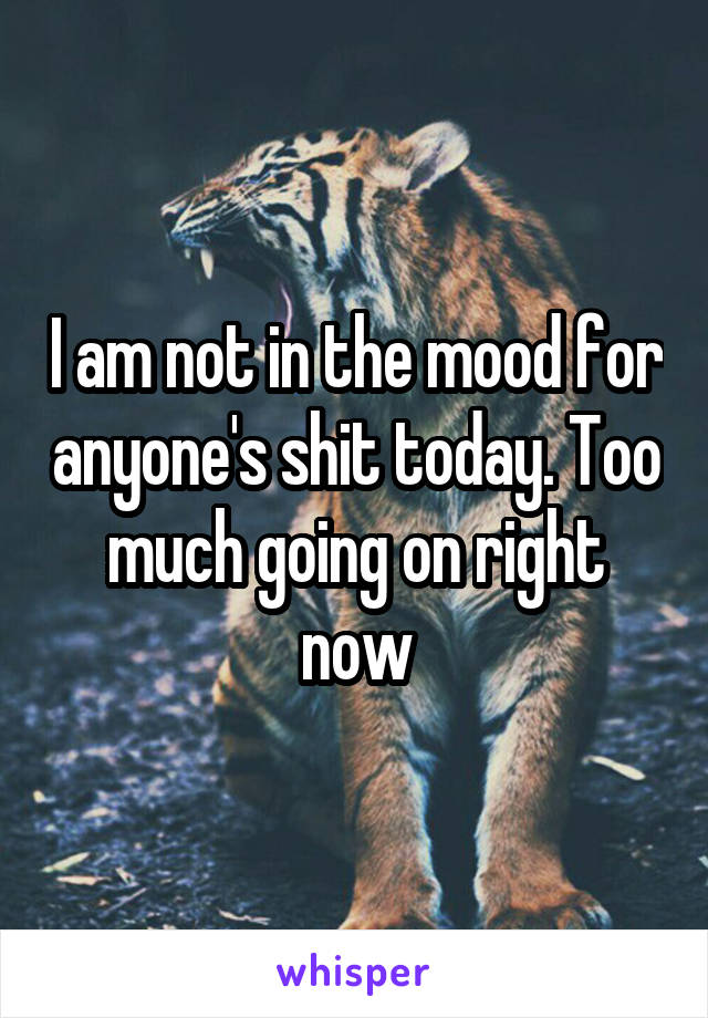 I am not in the mood for anyone's shit today. Too much going on right now