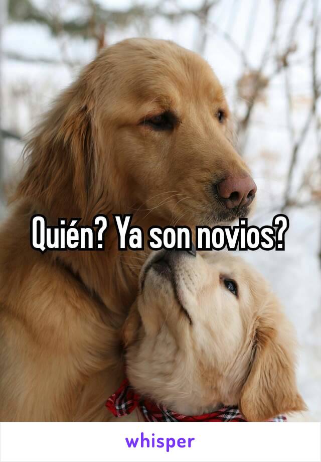 Quién? Ya son novios?