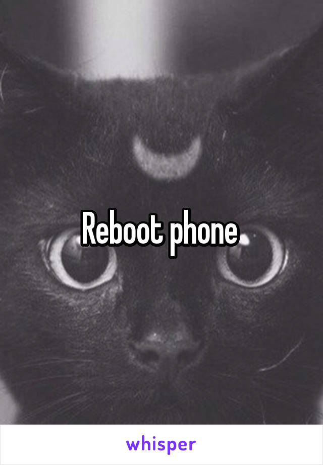 Reboot phone 