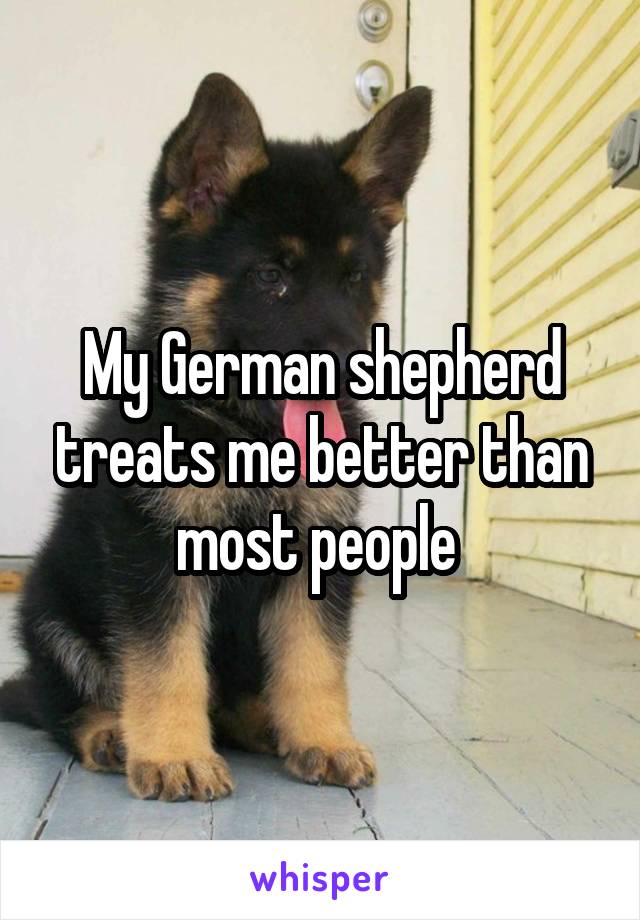 My German shepherd treats me better than most people 