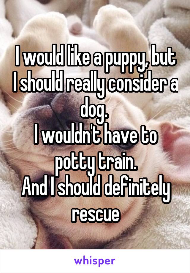 I would like a puppy, but I should really consider a dog. 
I wouldn't have to potty train.
And I should definitely rescue