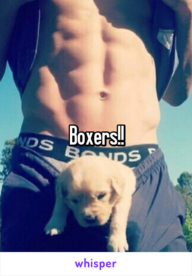 Boxers!!