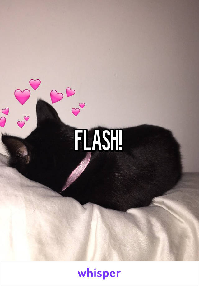 FLASH! 