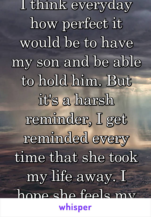 I think everyday how perfect it would be to have my son and be able to hold him. But it's a harsh reminder, I get reminded every time that she took my life away. I hope she feels my pain & suffering. 