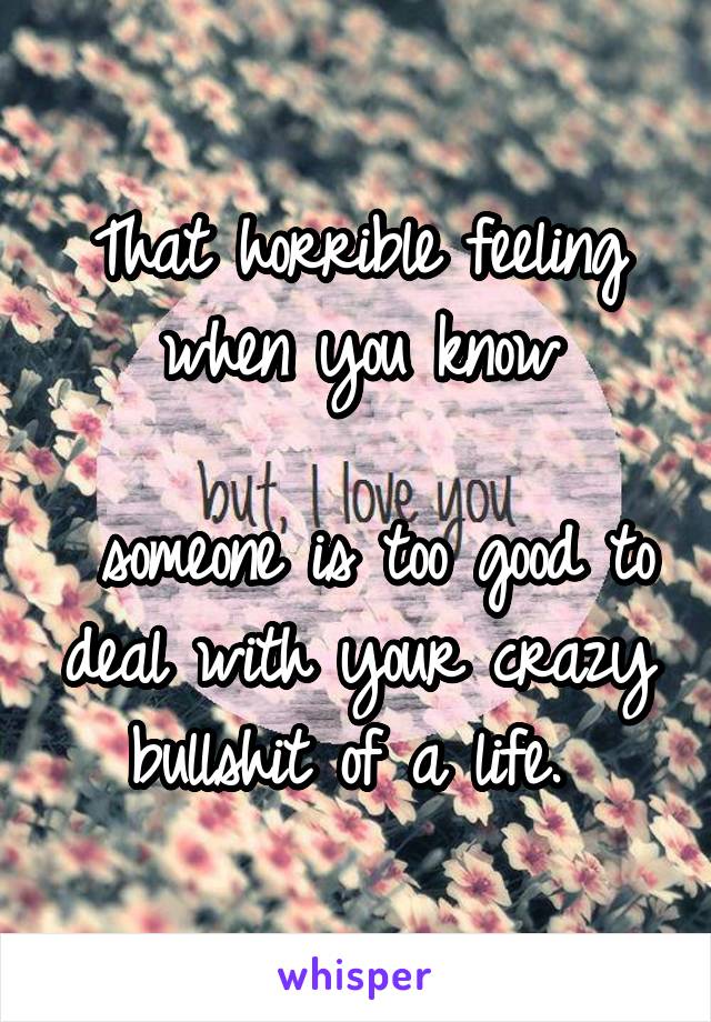 That horrible feeling when you know

 someone is too good to deal with your crazy bullshit of a life. 