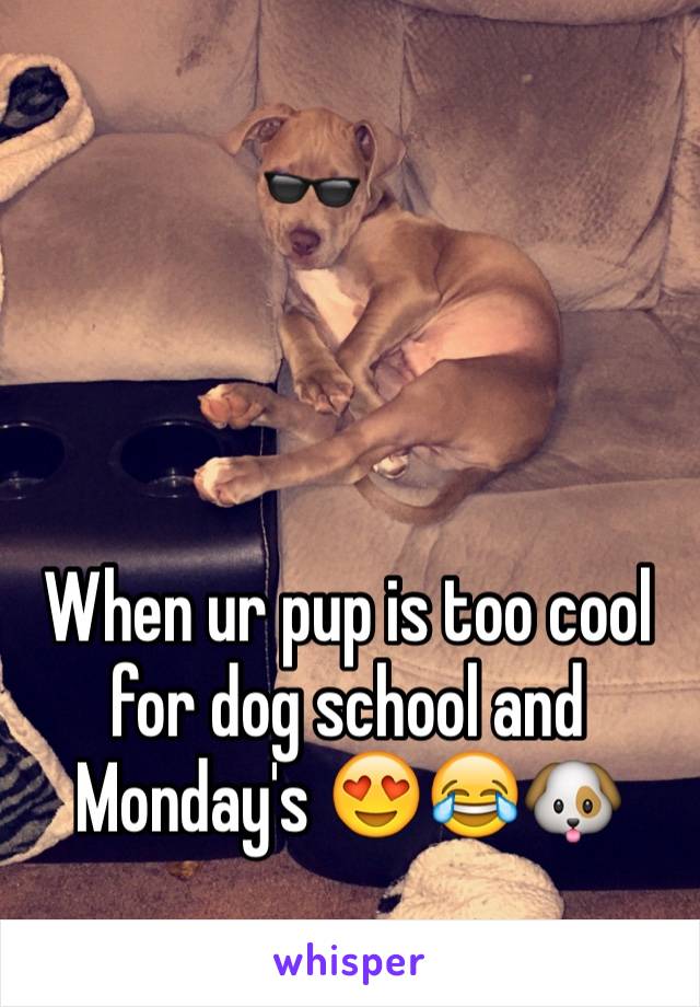 



When ur pup is too cool for dog school and Monday's 😍😂🐶