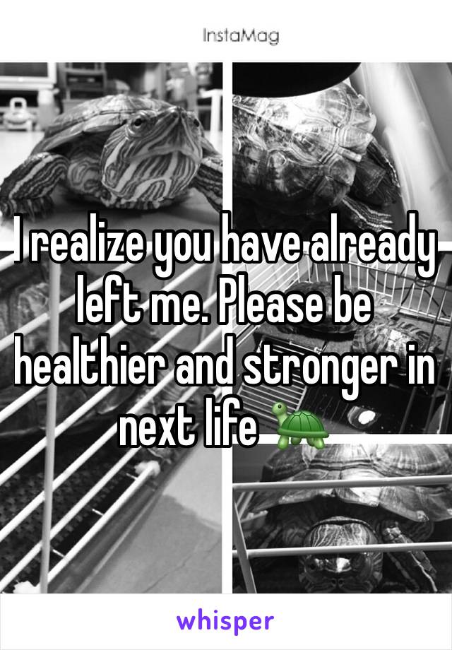 I realize you have already left me. Please be healthier and stronger in next life 🐢