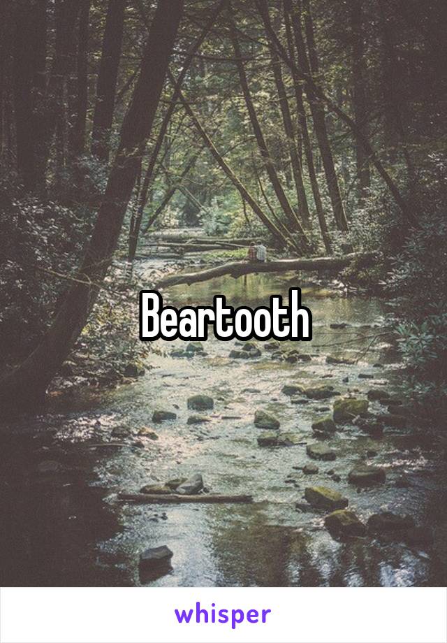 Beartooth