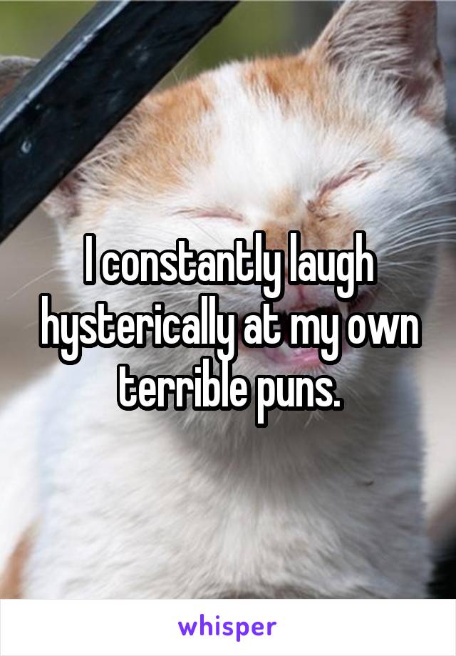 I constantly laugh hysterically at my own terrible puns.