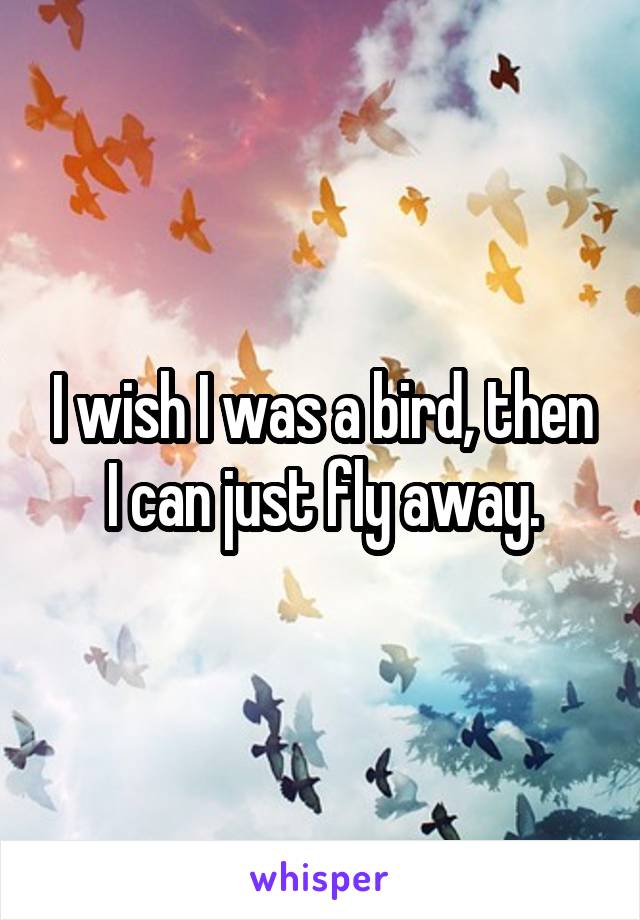 I wish I was a bird, then I can just fly away.