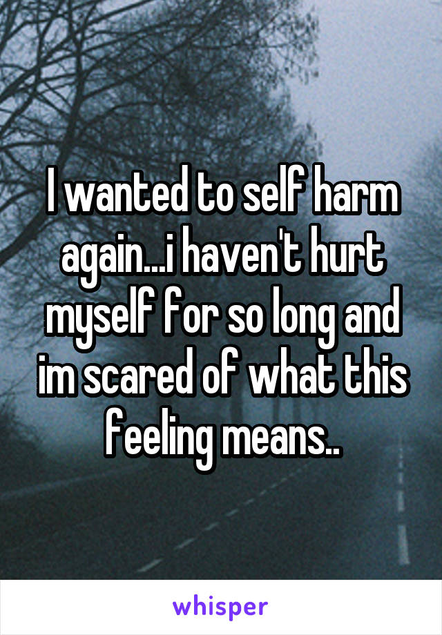 I wanted to self harm again...i haven't hurt myself for so long and im scared of what this feeling means..